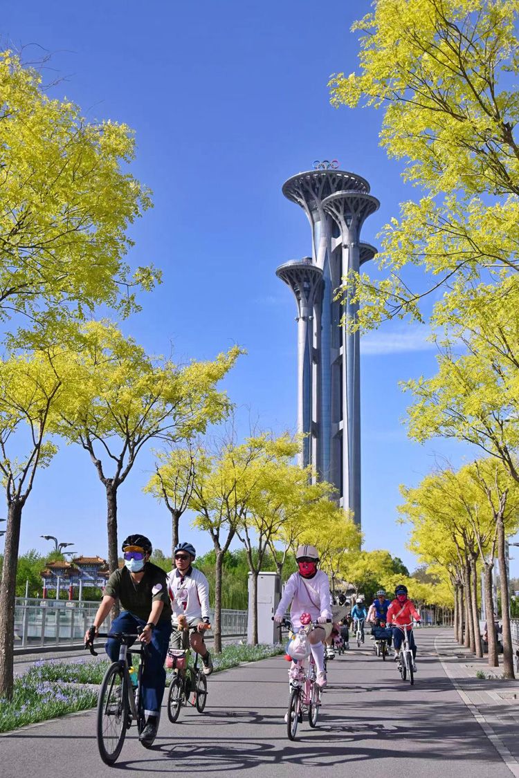 浩瀚体育平台北京朝阳区东部39公里绿道今年将开放骑行(图2)